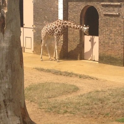 misssladenqt's profile picture. #NQT as of September, Citizneship specialist. 'Children must be taught how to think, not what to think'