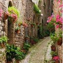 franco cavalli - @dirprogetti - Twitter