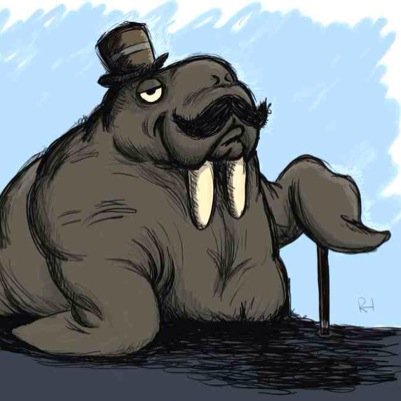 humorouswalrus's profile picture. I'm a single walrus ready to party. I love pineapples