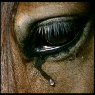 Khalid6013's profile picture. ‏سناب شات Khaled6013 للتوصل البيبي 75AED865