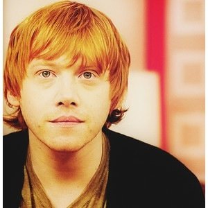 Bloody ghosts, and spiders, and You-Know-Who. |#RP#HP|