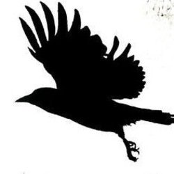 RooftopCrisis's profile picture. Stuff Is Coming.