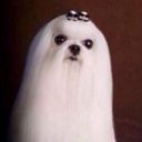 ashlee - @ashlee_huff - Twitter