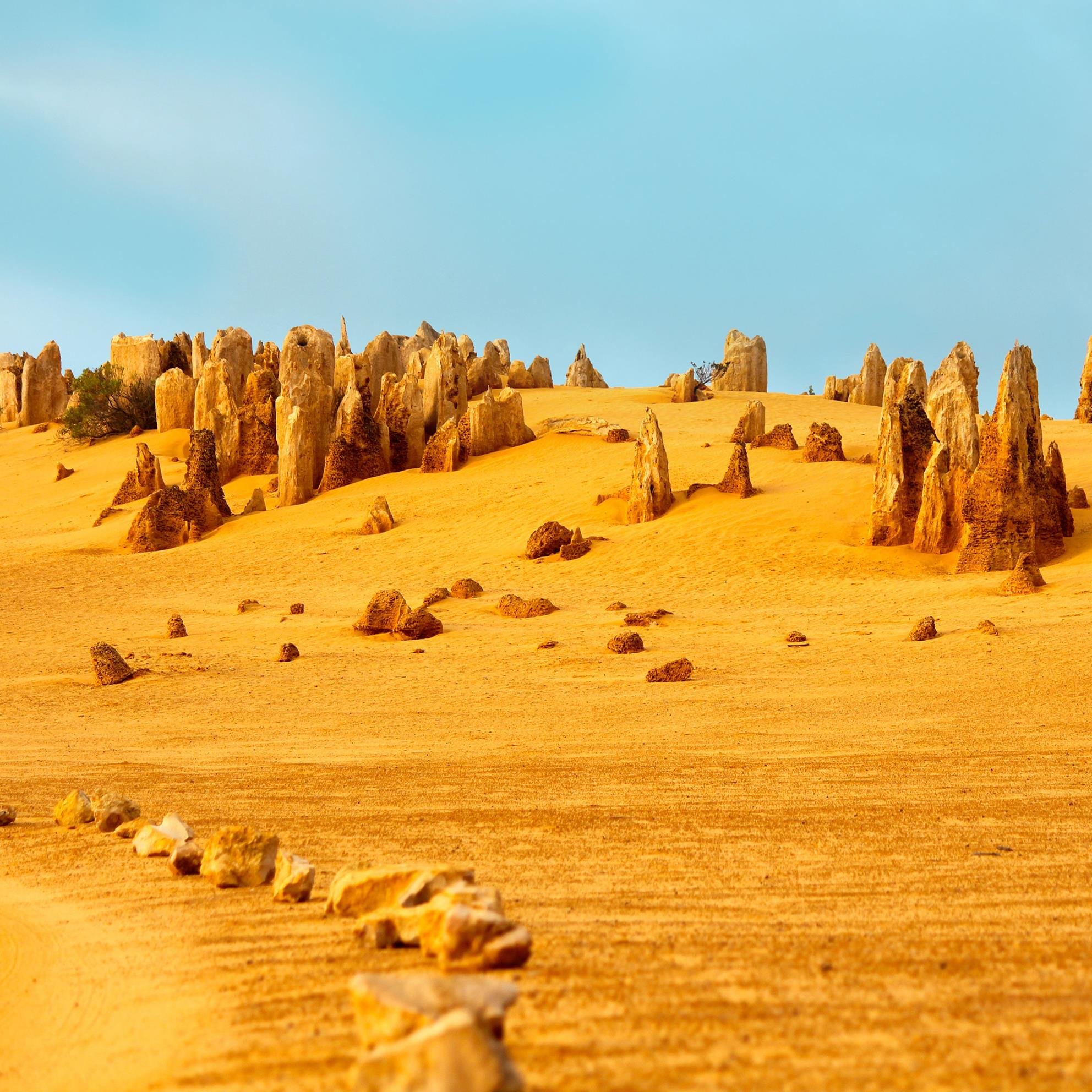 PinnaclesPark's profile picture. Pinnacles Holiday Park, Seashells Café, Cabins, Van & Camp Sites, Beachfront, 2.1hrs north of Perth CBD, 2.2hrs south of Geraldton, 15 mins to The Pinnacles