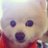 cottonpoo's profile image