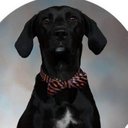 Michael Lucius-Jones - @MichaelThePup - Twitter