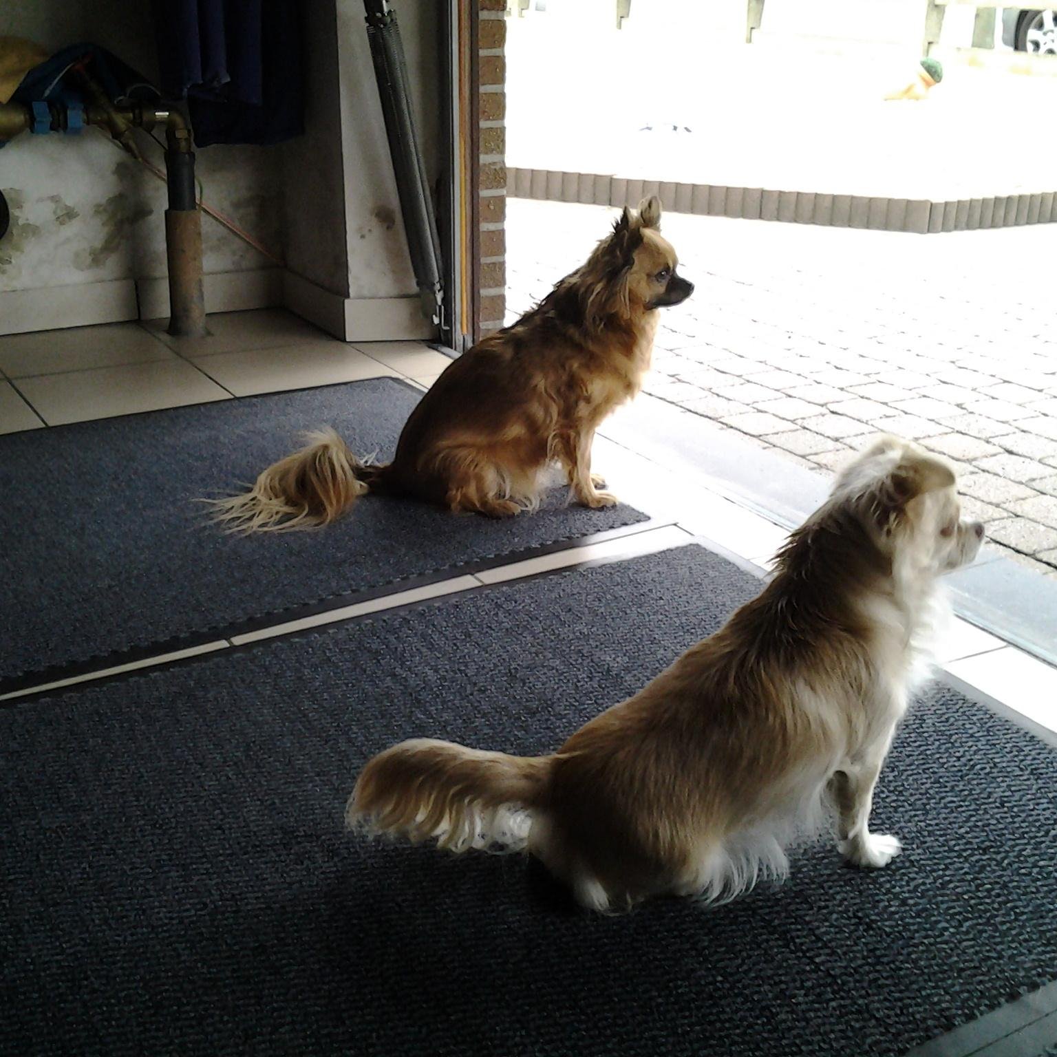 ferre612's profile picture. 