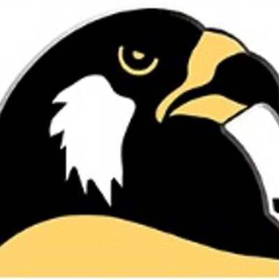 fosterstuco's profile picture. 