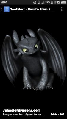 I live on the island of Berk with my friend Hiccup. We are an unbeatable team! I love fish and flying on cool nights. I am a night fury.