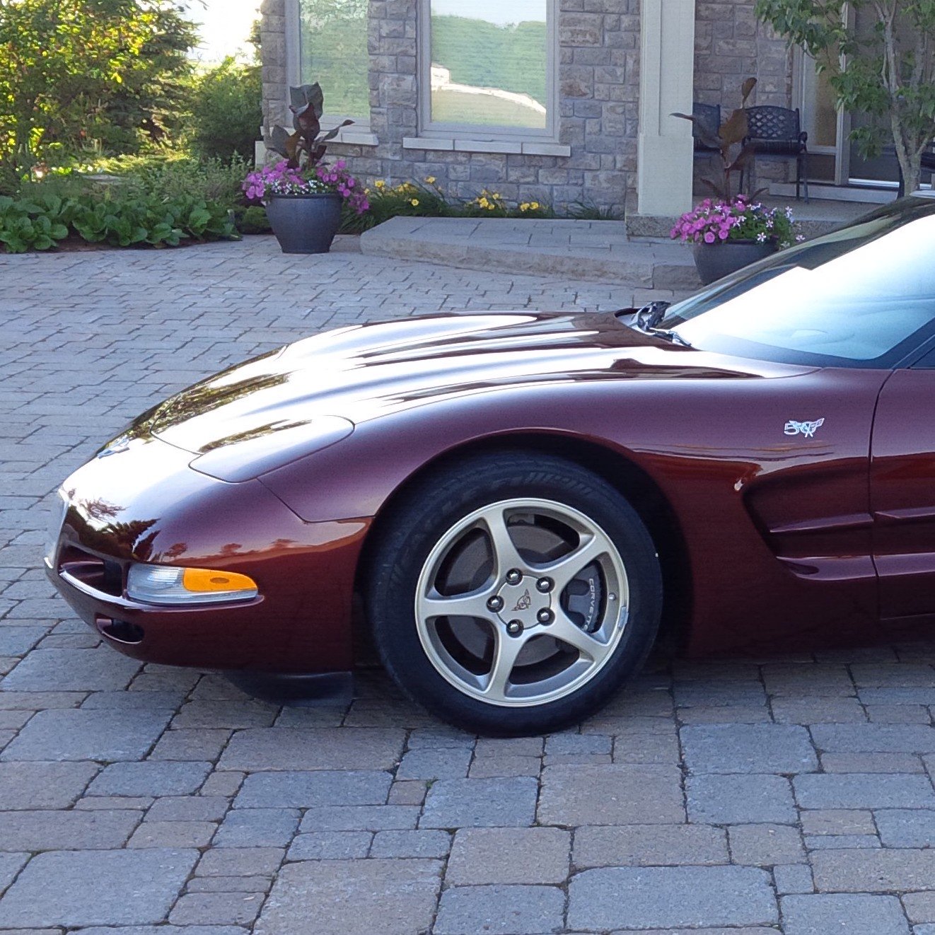 steveBender1's profile picture. 