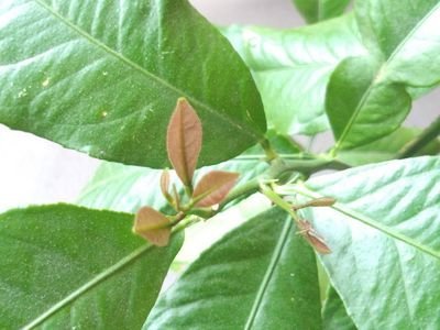 zenbu_owari's profile picture. 老いて自分にとって大切なことが見えやすくなり、躊躇なく諦めたり捨てたりが、できるようになった。自問自答しながら、老いていく安らぎとともに余生を送っている。