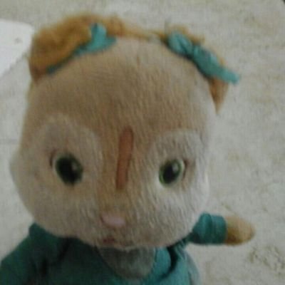 I LOOOOOOOOOOOOOOOOOOOOOVE the chipmunks and the chipettes not adult stuff.