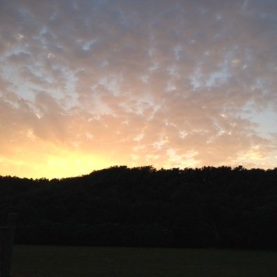 JennMillerPT's profile picture. PT specializing in treatment of movement system impairments with focus in pelvic health, female athletes & lymphedema at Washington University Physical Therapy