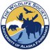 UAF Wildlife Society (@uafwildlife) Twitter profile photo