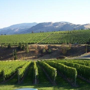 napavalleynorth's profile picture. 