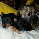 NiKi Stevens - @nikirama20 - Twitter