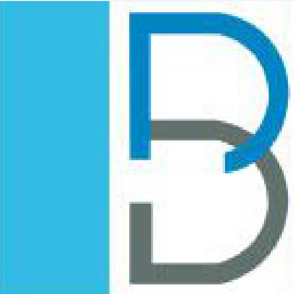 brvsoft's profile picture. 