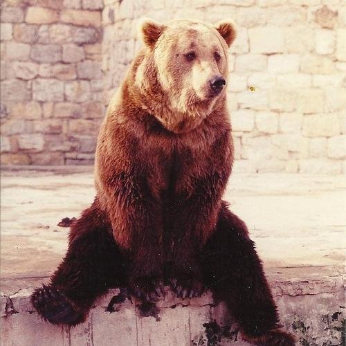 marfhy91's profile picture. Only miss the sun when it's starts to snow//Here,there and everywhere