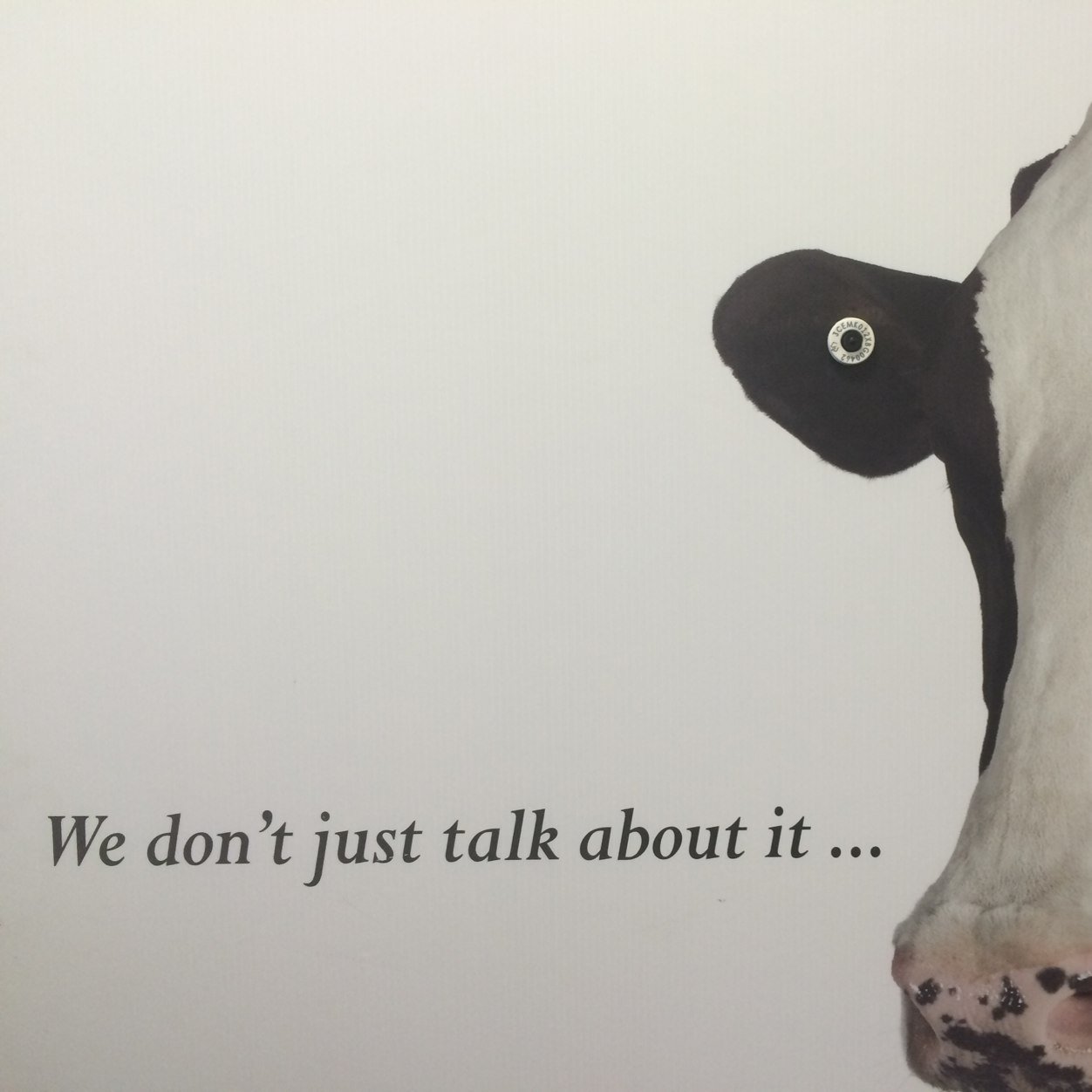 Passionate about agriculture with particular interest in the dairy industry.