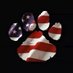 USA K9 (@usa_k9) Twitter profile photo
