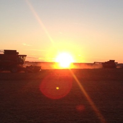 Chartered Professional Accountant and Farmer