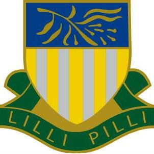 Lilli Pilli Public School.