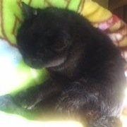 三重県在住。 西川貴教大好きです😍 turbo会員  ネコ好き🐱  TM NETWORK、nano、清木場俊介、CHEMISTRY、、福原みほ、葉加瀬太郎、、クライズラー&カンパニー、小松亮太、Blue、Ne-Yo、ライブ、イナズマロック参戦(*^▽^*)