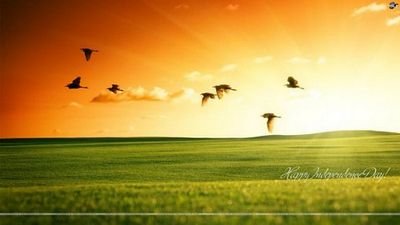 Life Sciences  and Business Management

I Work for Sanofi India, Pharma Field operations