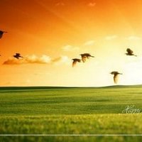 PV.Narayan (@pvnarayan07) 's Twitter Profile