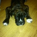 Jan Bates - @f7045b48e17e4d0 - Twitter