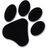 caninedesigncol's profile image