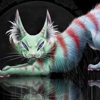 Chessie-Blud (@chessieblud) 's Twitter Profile