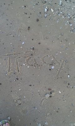 Tracy Kuszmar Dreyer