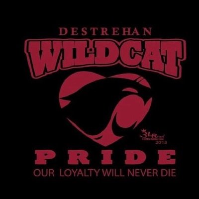 DHS fighting wildcats student section
2014-2015