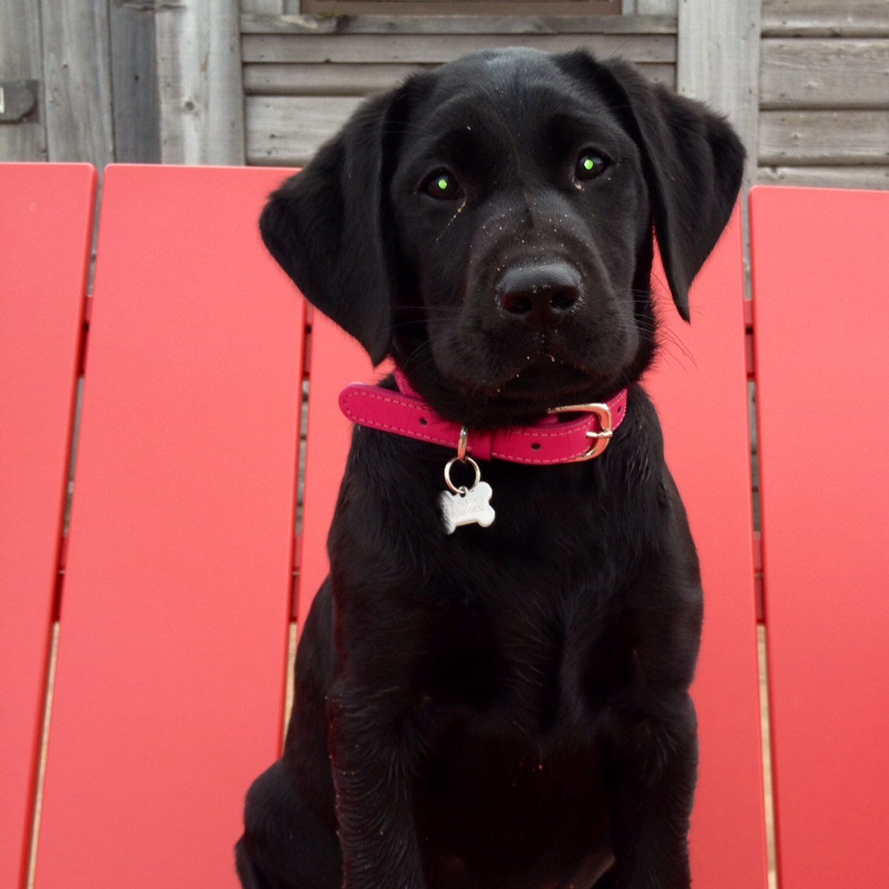 achristensen3's profile picture. 