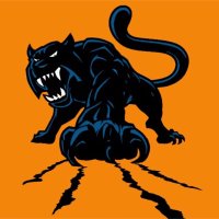 PANTHER NATION (@panapanthers) Twitter profile photo