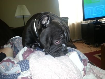 williamsstan14's profile picture. 