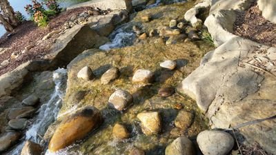 amccreery31's profile picture. 