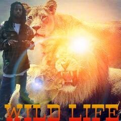 it's fuck me it's fuck u 
stop actin bullet proof 
cuz u can get bust too 
fuck what u st and for and what u goin thru I'm out chea boii so do what chu gone