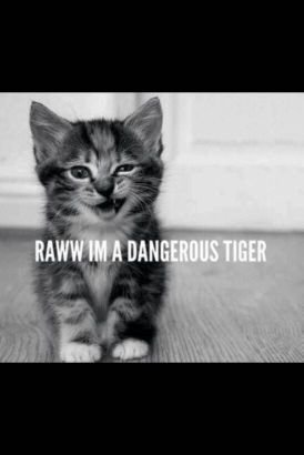 doubleaisrael1's profile picture. I am a youtuber not that much of one tho and I am a gamer