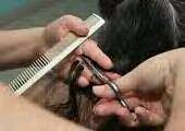 The G2-Jitu Barbershop&Men's Body Cares Pin:27606CB8 No.Hp:081933169371