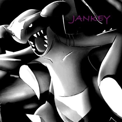Whats up everybody Jankey Gamez here im a pokemon shiny hunter on youtube FC (2165-6672-7822)