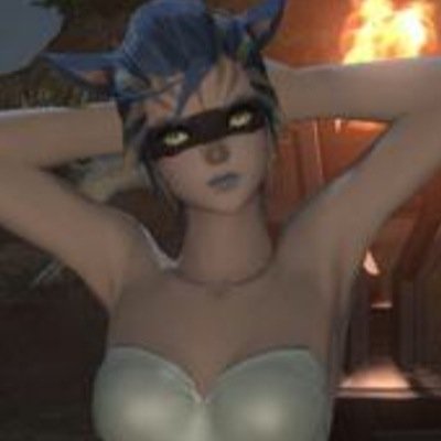 Fox Ecko from FFXIV