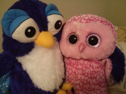 KimAndKevinOwls's profile picture. We are in love. We are both owls. That's all you need to know.