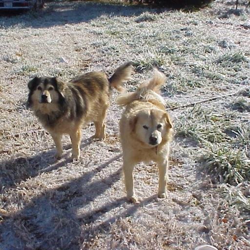 jojac's profile picture. 