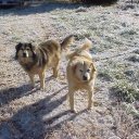 John Hunter - @jojac - Twitter