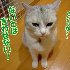 ジャニーズ大好きな人ならば思わす頷き「あるある！」と声にだいてしまいそうな事を集めました！
共感したらRTお願いします！
