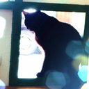 のらはむ (@00deden00) Twitter