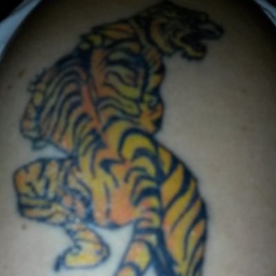 vladanmarius35's profile picture. 