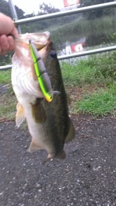 千葉ですバス釣りもしますが最近はメバリングやってます。アジングもちょっと気になってます(笑)